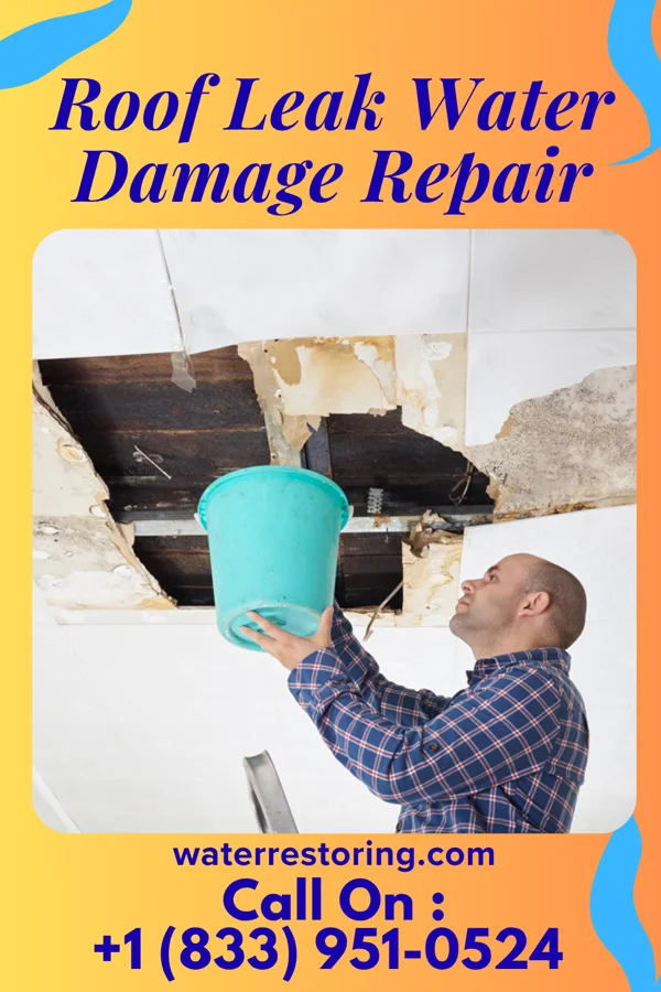 Roof Leak Water Damage Repair in George West, TX
